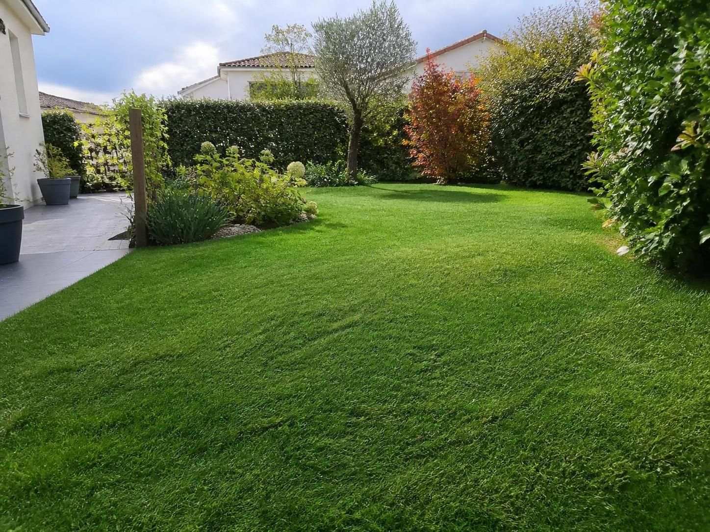 découvrez notre guide météo complet pour obtenir une pelouse dense : conseils pratiques pour semer et regarnir votre gazon au meilleur moment.