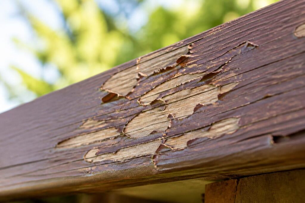 découvrez les raisons pour lesquelles la lasure xyladecor peut s'écaille sur le bois extérieur et apprenez comment prévenir ce problème pour protéger efficacement vos surfaces boisées.